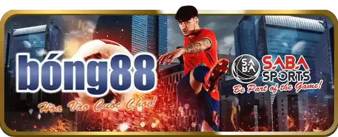 Bàn chơi Poker với các quân bài và chip